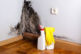 Mold Remediation for Rental Properties in Norris City, IL